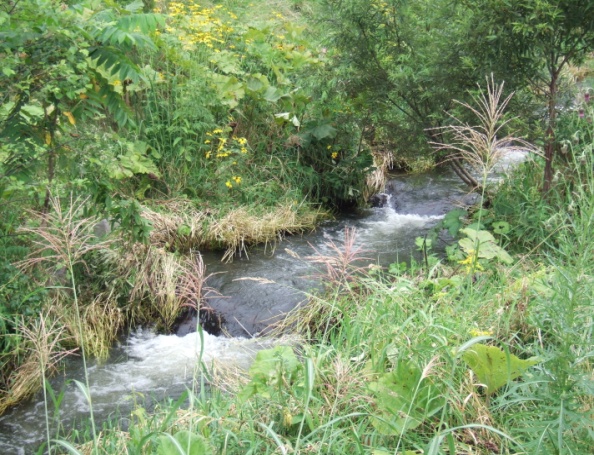 ニセコ町	第2カシュンベツ川	マイクロ水力発電1