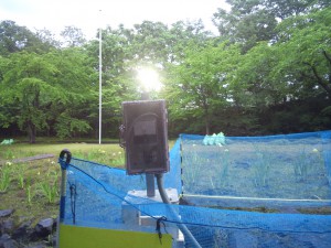 森町マイクロ水力発電実証事業3