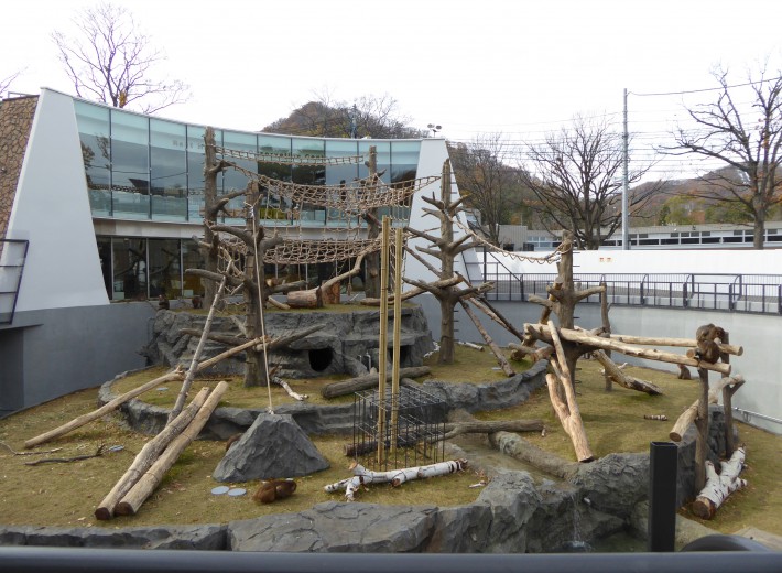 札幌市　円山動物園　サル山　ネット1