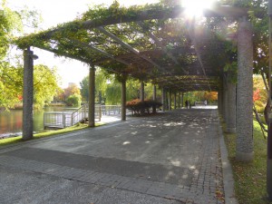 札幌市　中島公園　パーゴラ1