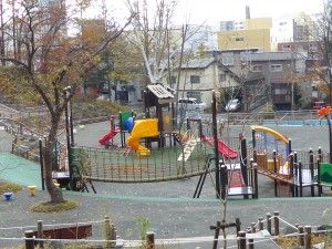 札幌市　月寒公園　大型コンビネーション2