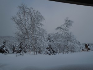 旭川市 カムイの杜公園 わくわくエッグ内雲のネット5