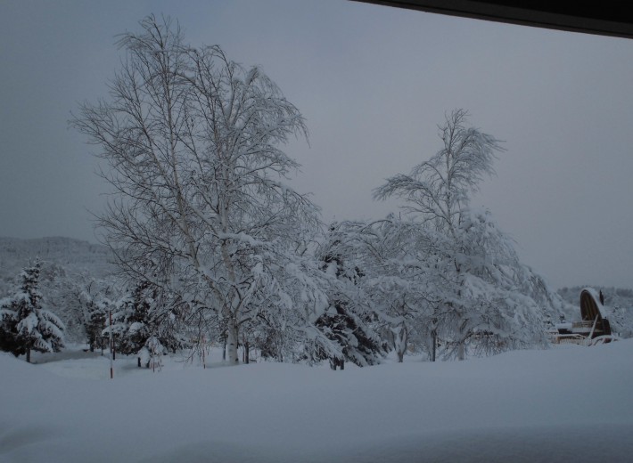 旭川市　カムイの杜公園　わくわくエッグ内雲のネット5