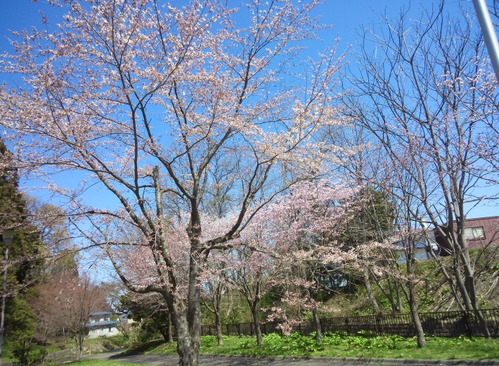 『道南森町　青葉ヶ丘公園　マイクロ水力発電施設』1