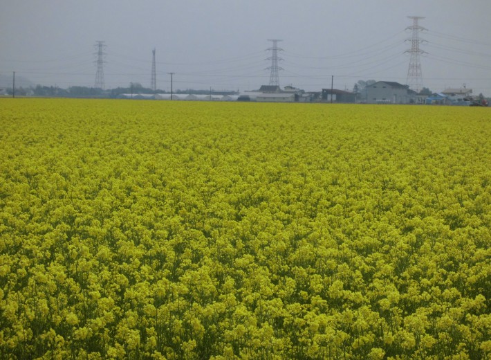 ㈱ユーテクスのホームページをご覧の皆さん5