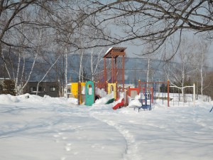 冬の公園4